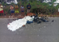 Motociclista morre após colisão com cavalo na SE-204, em Santana do São Francisco
